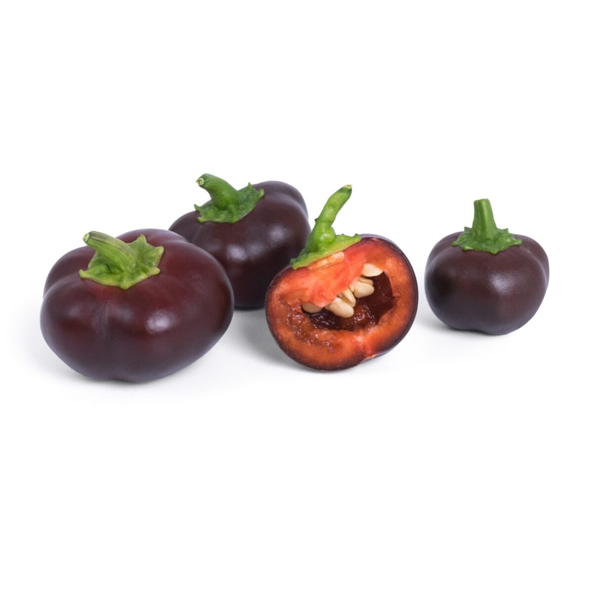 VERITABLE Lingot® Chocolate mini bell pepper Organic - Шоколадови Мини Камби