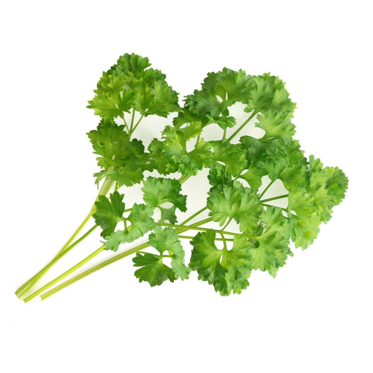 VERITABLE Lingot® Curly Parsley Organic - Къдрав Магданоз