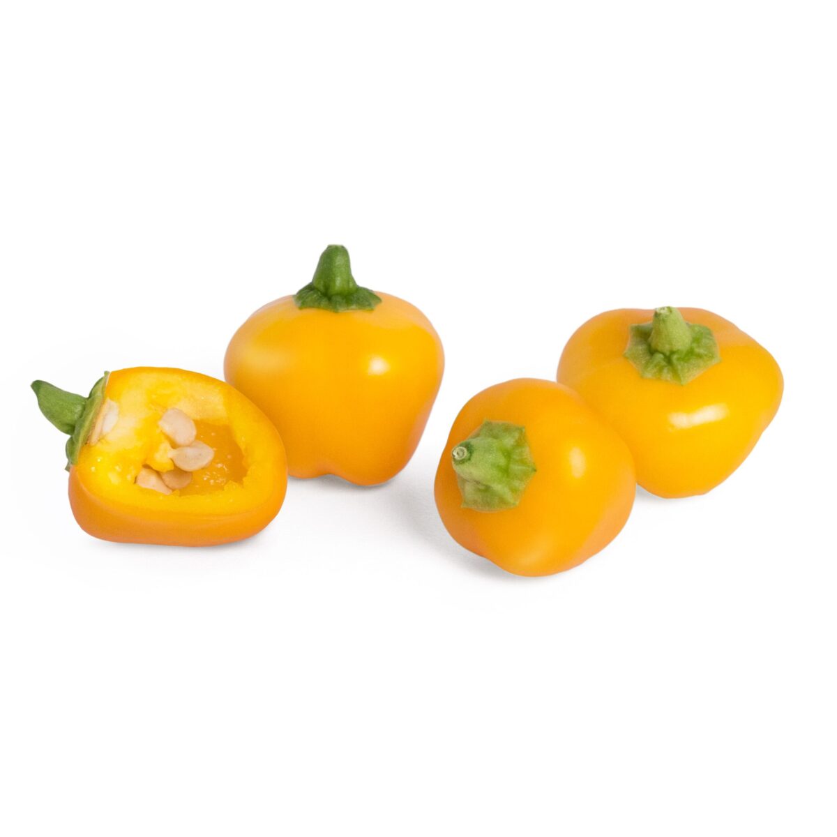 VERITABLE Lingot® Yellow mini bell pepper Organic - Жълти Мини Камби