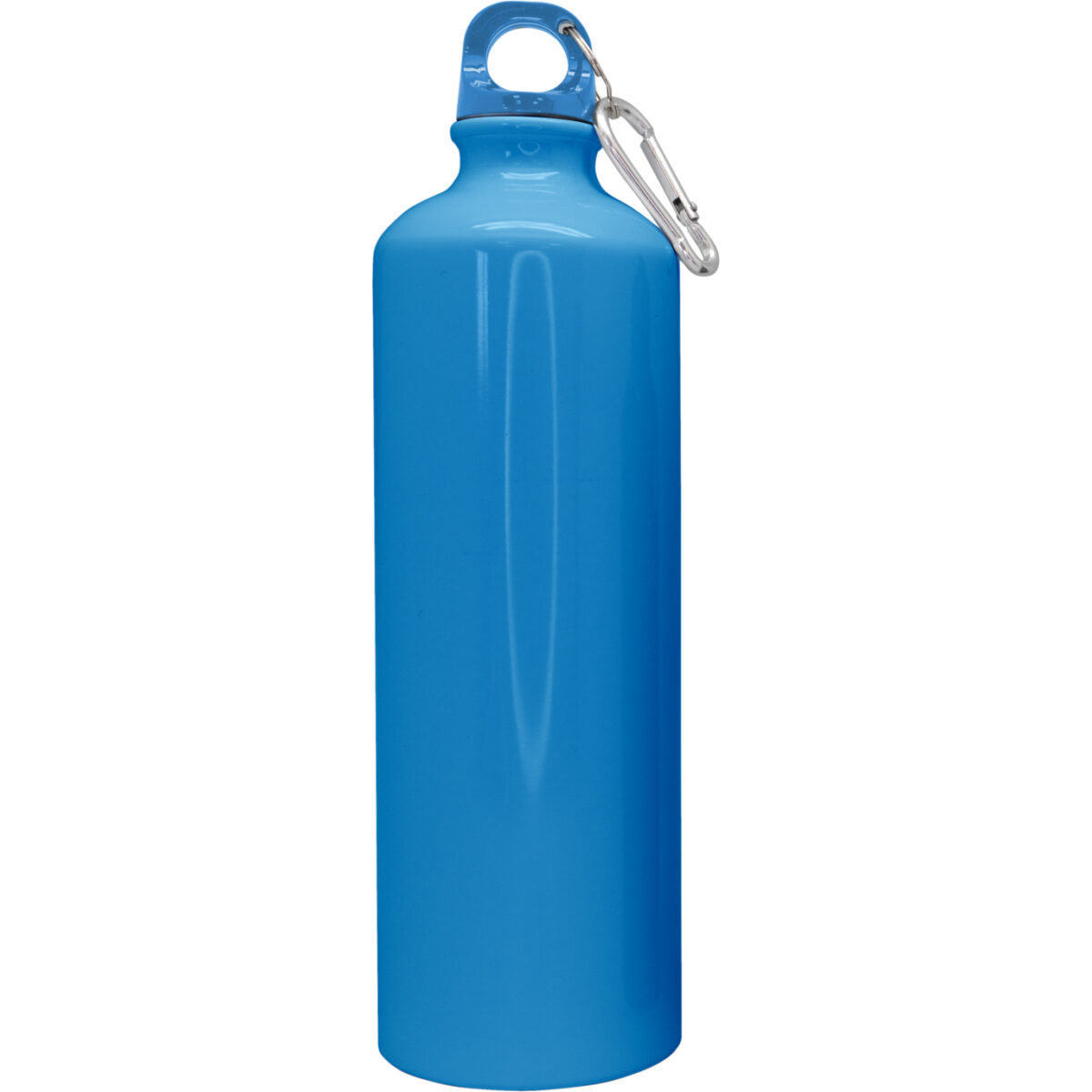 Туристическа бутилка с карабинер Nerthus - 800 мл, цвят син